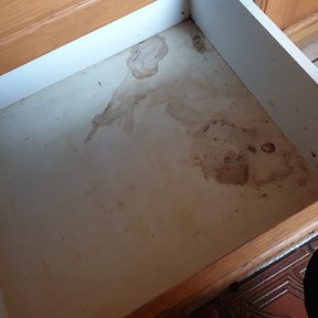 Pre Build Cleaning Frome